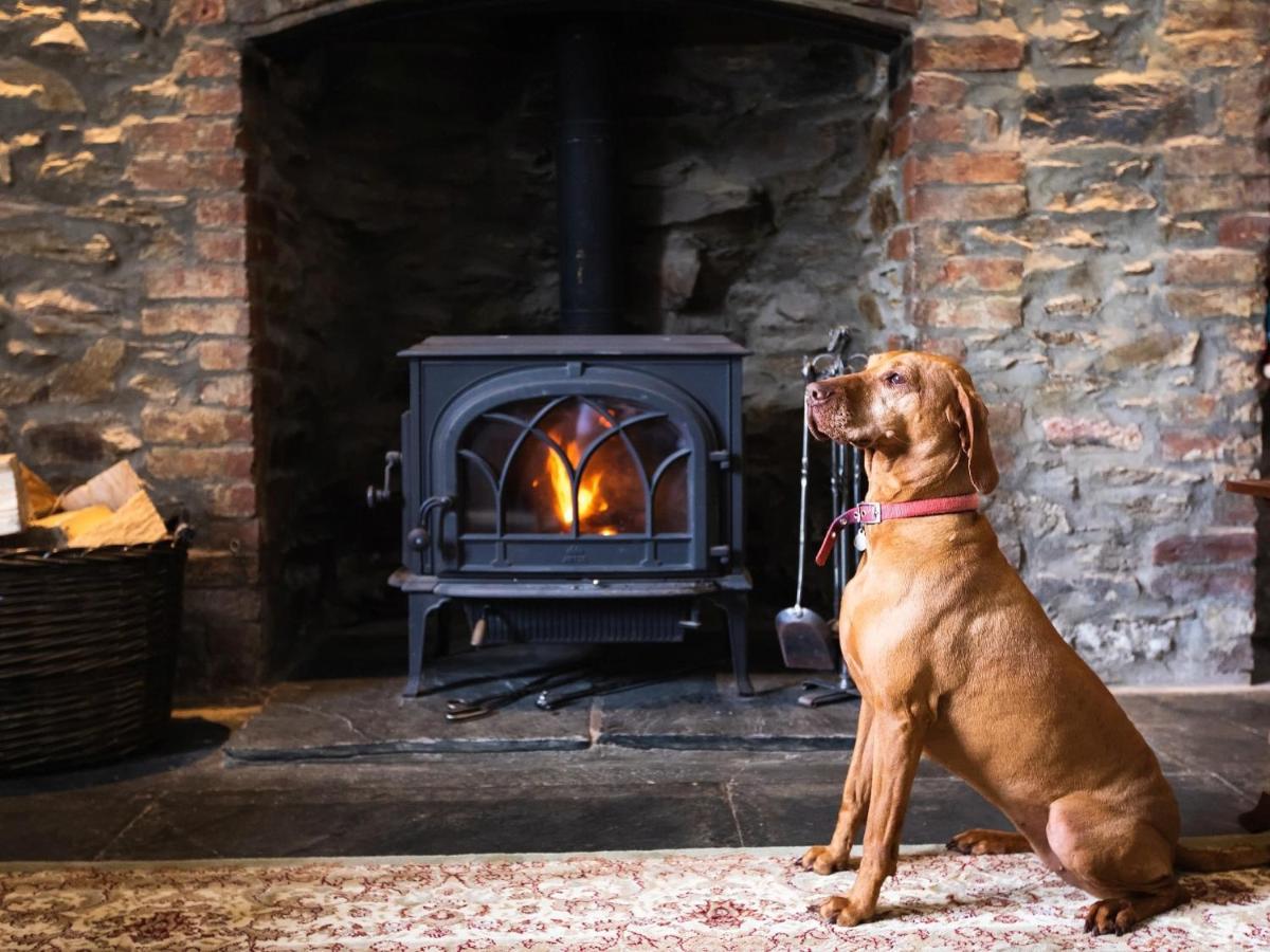 Pengelly Farmhouse B&B トルーロー エクステリア 写真